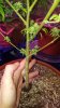 20180131_132539.jpg