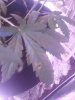 20180130_212637.jpg 20180130_212637.jpg