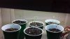 20180202_073359.jpg 20180202_073359.jpg