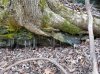 20180202_170253.jpg