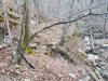 20180202_171821(0).jpg