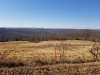 20180131_111424.jpg