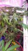 20180203_103603.jpg
