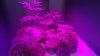 20180203_140721.jpg