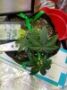 20180203_160822.jpg