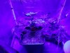 20180203_231111.jpg