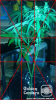 dacfi.png dacfi.png