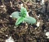 2018-02-04 12.30.22.jpg 2018-02-04 12.30.22.jpg