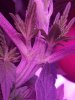 20180207_080948.jpg