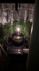 20171129_085948.jpg