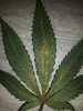 20180207_162757.jpg