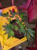20180207_172325.jpg