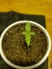 20180208_122336.jpg