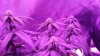 20180208_091151.jpg
