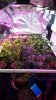20180206_104244.jpg 20180206_104244.jpg