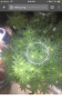 FC0C7656-AA3D-4587-AA99-E90C214D87CA.png FC0C7656-AA3D-4587-AA99-E90C214D87CA.png