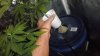 DSCF3351.JPG