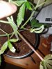 20180213_142055.jpg