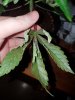 20180213_142042.jpg