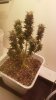 20180213_093421.jpg