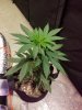 20180213_181750.jpg