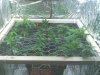 Image_00066.jpg