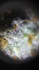 IMG-20180215-WA0019.jpeg IMG-20180215-WA0019.jpeg
