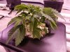 20180215_155224.jpg