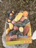 potatoes2.jpg