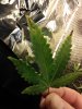 IMG_20180216_194904.jpg