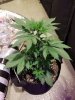 20180216_234831.jpg