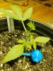 20180217_205739.jpg