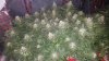 20180218_224829.jpg