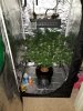 20180220_060813.jpg