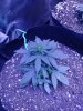 20180221_145851.jpg
