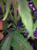 IMG_20180220_133528652.jpg