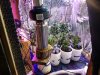 IMG_20180220_141044685.jpg