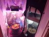 IMG_20180222_161312.jpg