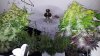 20180224_221527.jpg