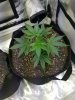20180225_145412.jpg