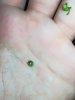 IMG_20180226_212151.jpg
