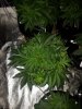 20180226_161718.jpg 20180226_161718.jpg