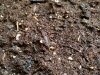 20180225_111232.jpg
