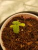 20180228_041357.jpg 20180228_041357.jpg