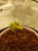 20180228_041501.jpg 20180228_041501.jpg