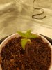 20180228_041535.jpg 20180228_041535.jpg