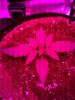 20180227_162342.jpg
