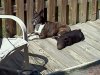 FB_IMG_1520003478606.jpg