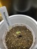 20180301_174440.jpg