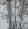 Снимок.JPG Снимок.JPG